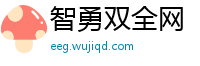 智勇双全网